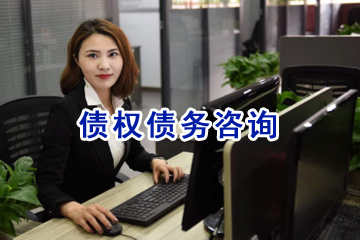 債權(quán)債務(wù)咨詢